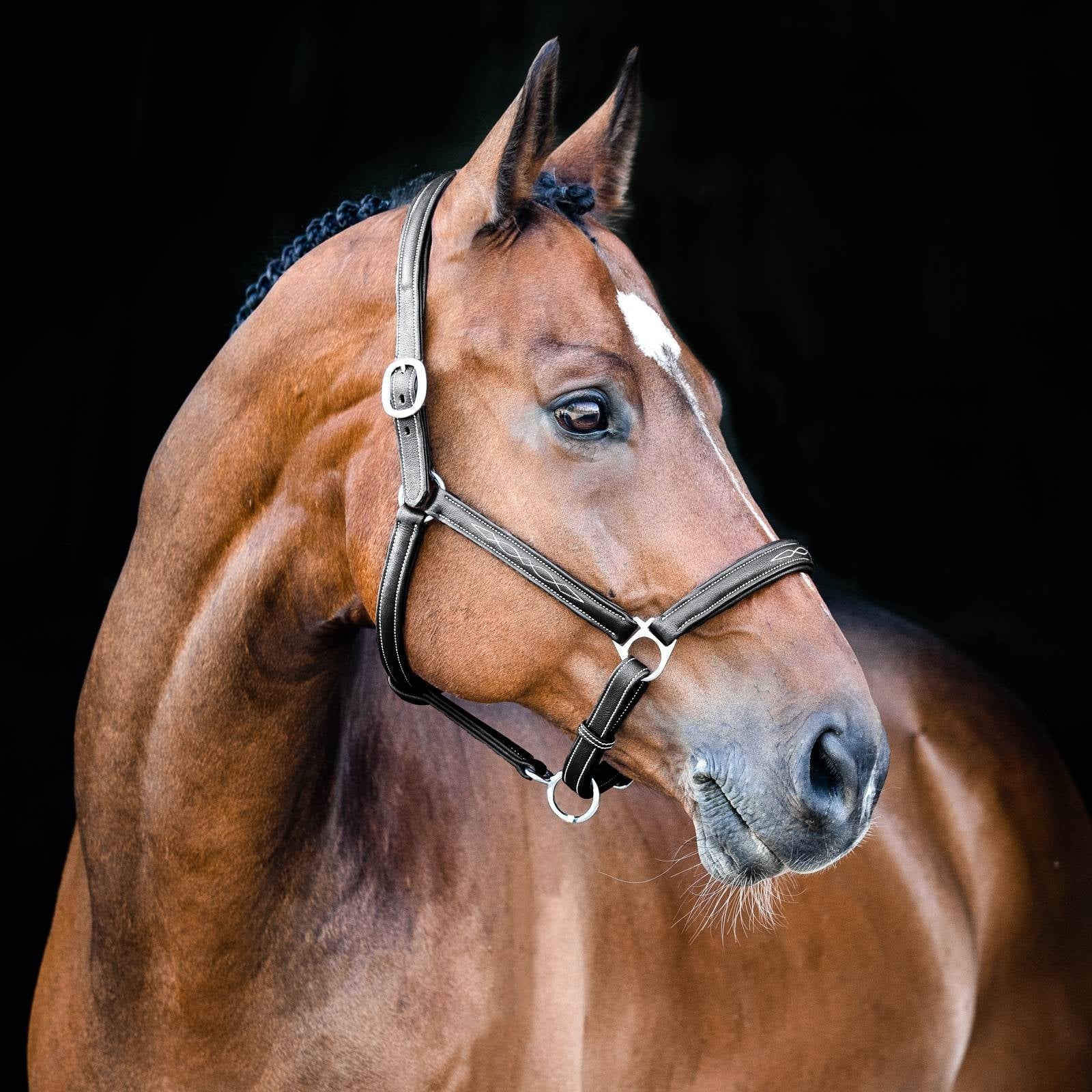 Horze Warren Soft Leather Halter - Image 3
