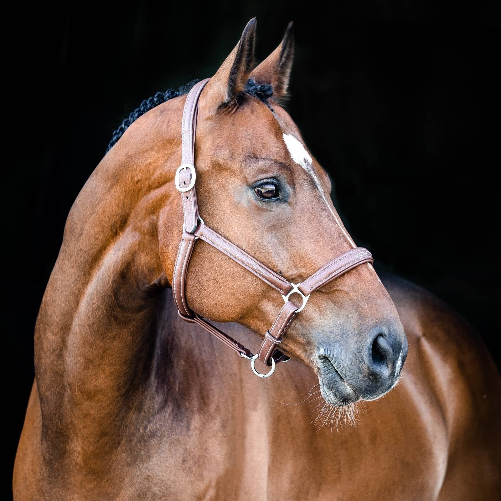 Horze Warren Soft Leather Halter - Image 4